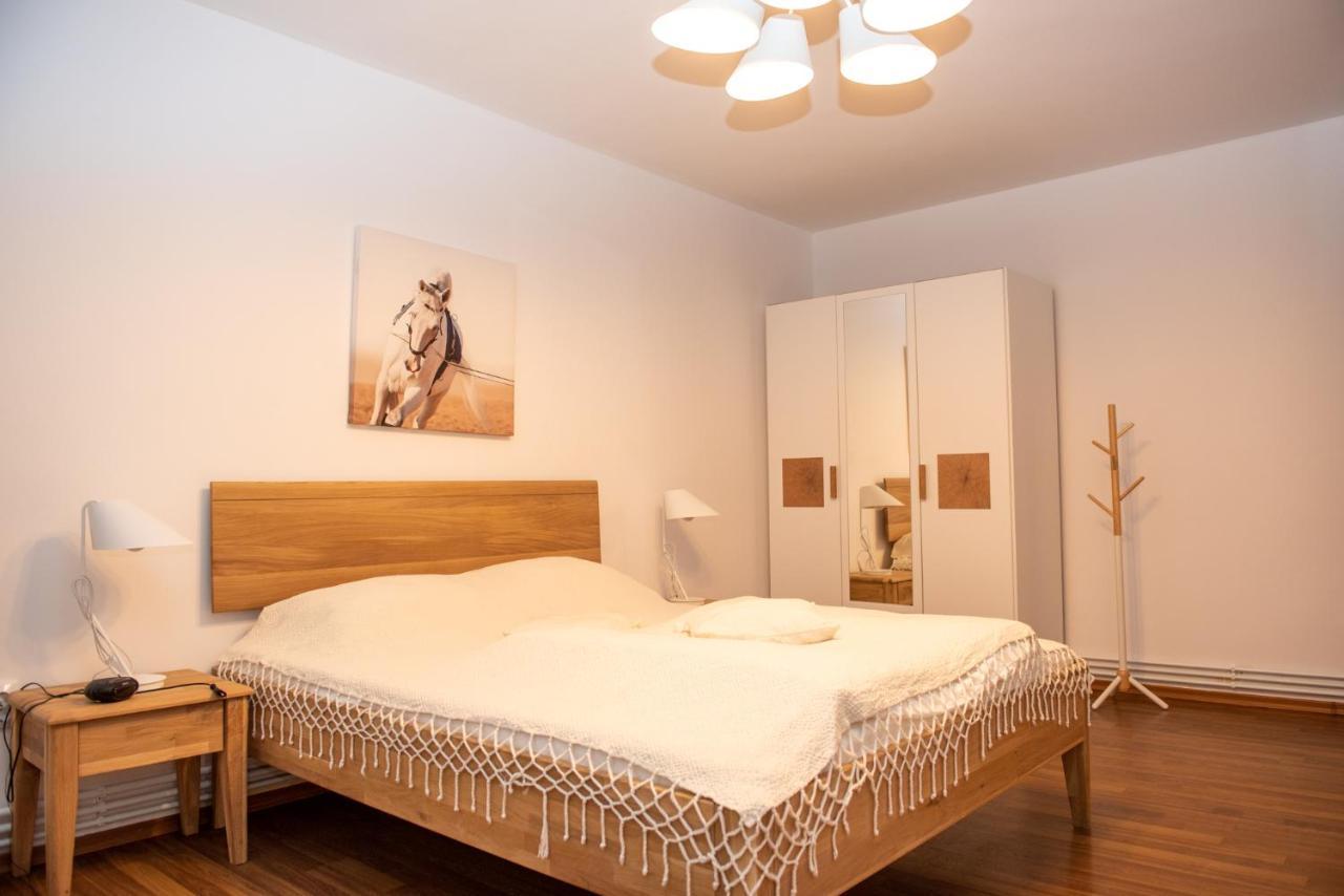 Classic Apartment Near The City Center Cluj-Napoca Esterno foto