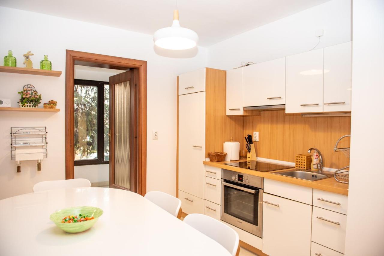 Classic Apartment Near The City Center Cluj-Napoca Esterno foto