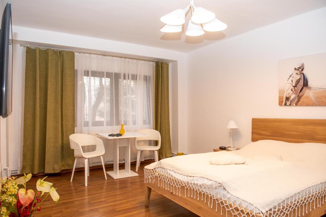 Classic Apartment Near The City Center Cluj-Napoca Esterno foto
