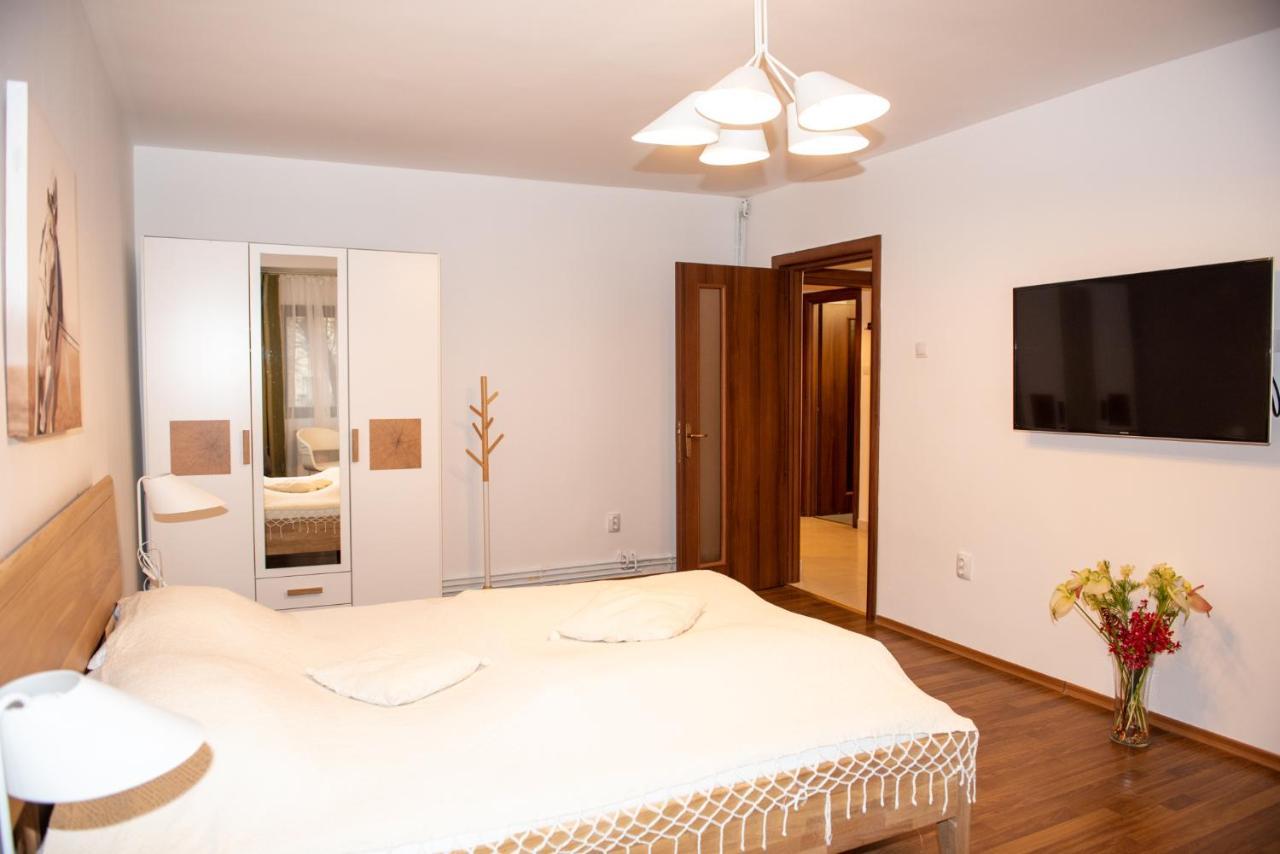 Classic Apartment Near The City Center Cluj-Napoca Esterno foto