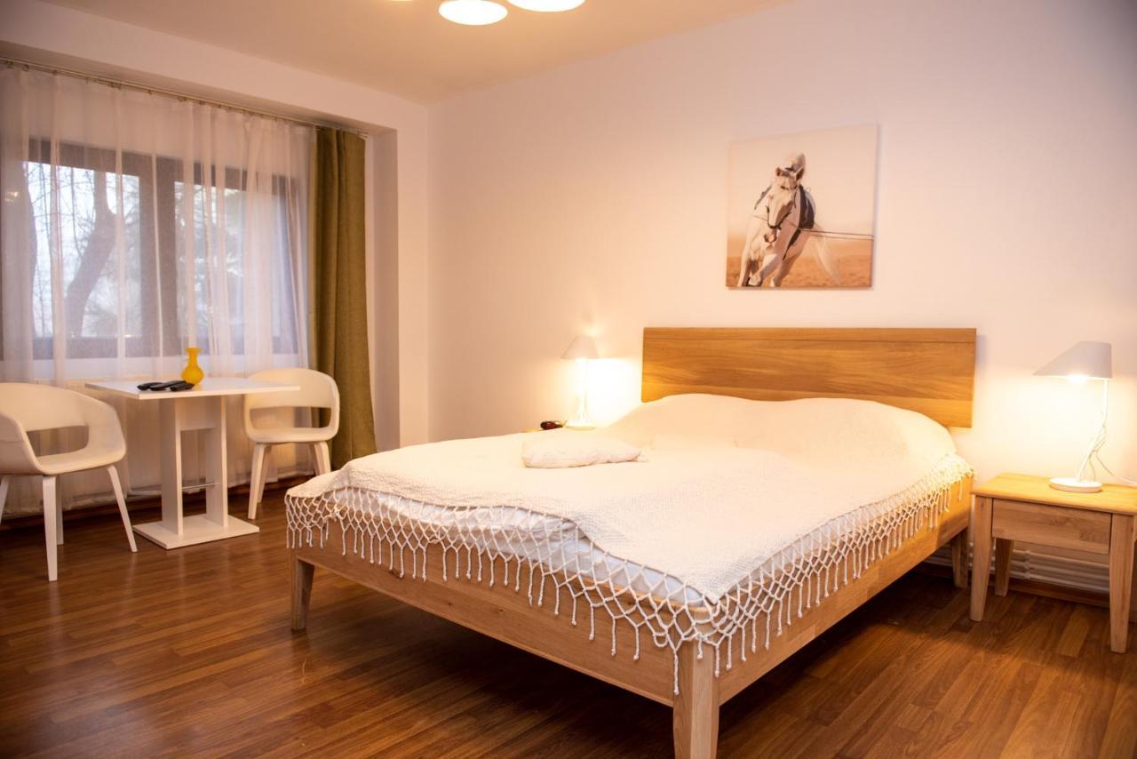 Classic Apartment Near The City Center Cluj-Napoca Esterno foto