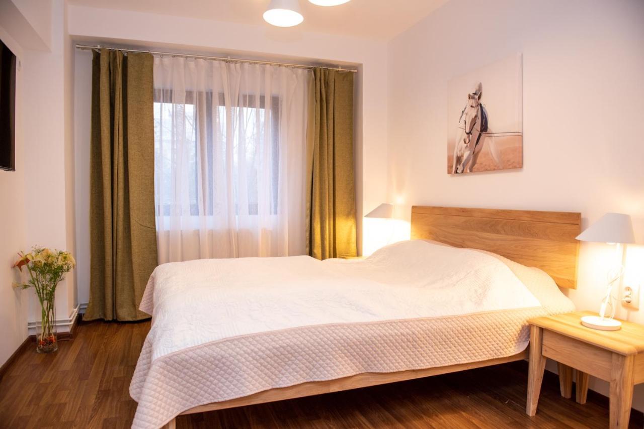 Classic Apartment Near The City Center Cluj-Napoca Esterno foto