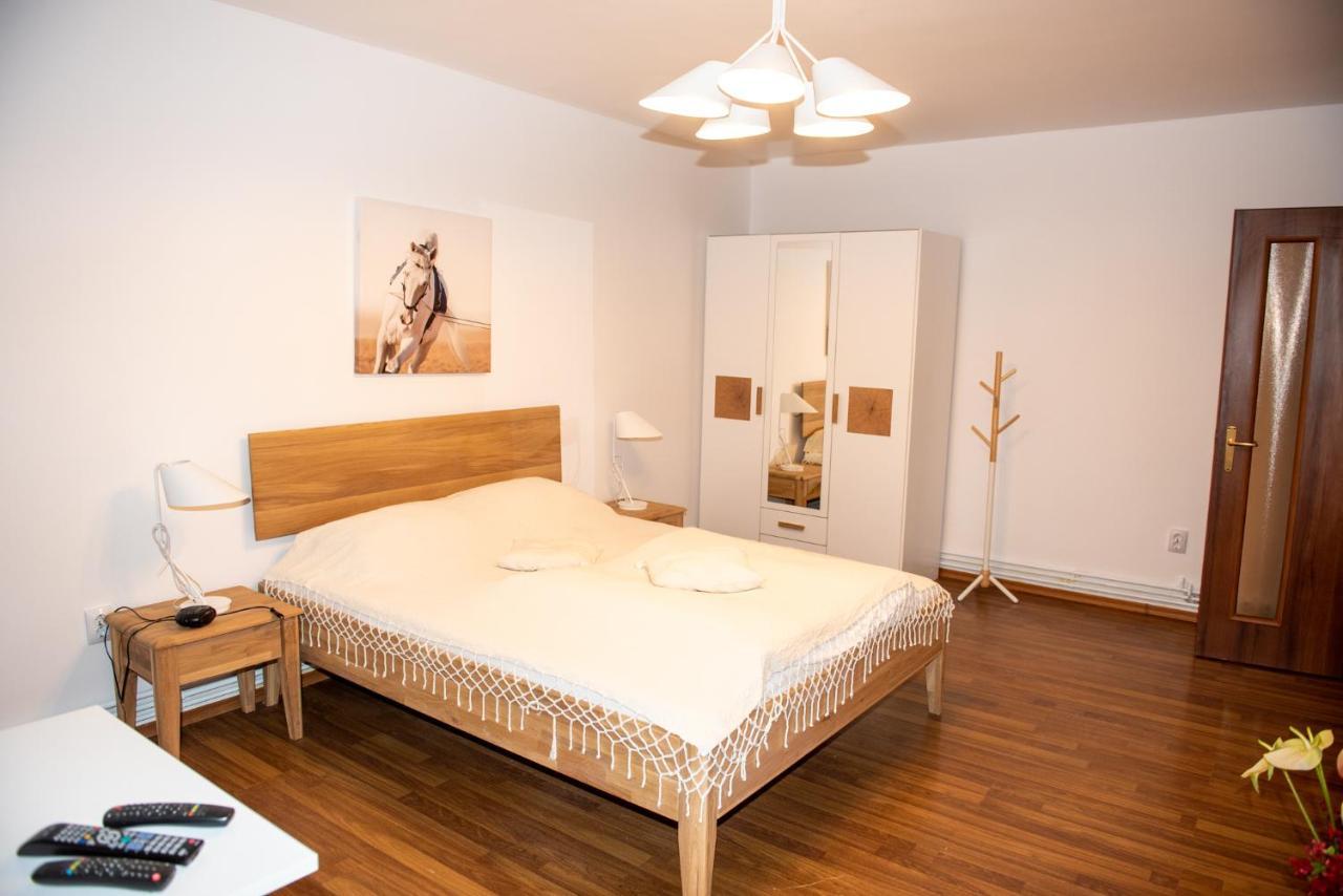 Classic Apartment Near The City Center Cluj-Napoca Esterno foto